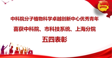 中科院分子植物卓越中心优秀青年喜获中科院、市科技系统、上海分院五四表彰